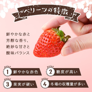 <先行予約受付中!2026年1月下旬~3月中旬に順次発送予定><数量限定>ベリーツ いちご (計約560g・280g×2パック) 苺 イチゴ フルーツ 果物 くだもの 果実 ベリーツ【115800300】【大分中央農産】