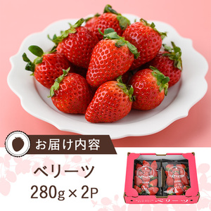 <先行予約受付中!2026年1月下旬~3月中旬に順次発送予定><数量限定>ベリーツ いちご (計約560g・280g×2パック) 苺 イチゴ フルーツ 果物 くだもの 果実 ベリーツ【115800300】【大分中央農産】