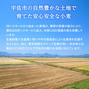 ＜訳あり＞ピザ おまかせ 詰め合わせ セット(10枚) ピザ イタリアン コーン サラミ 冷凍 惣菜 セット 詰合せ【102100500】【スターフーズ】