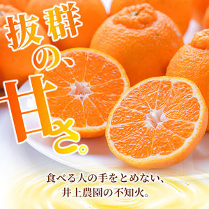 ＜先行予約受付中！2025年3月下旬より順次発送予定＞産地直送！！大分県宇佐市産 不知火(約5kg)みかん ミカン 蜜柑 柑橘 しらぬい フルーツ 果物 くだもの 果実 国産【103600600】【井上農園】