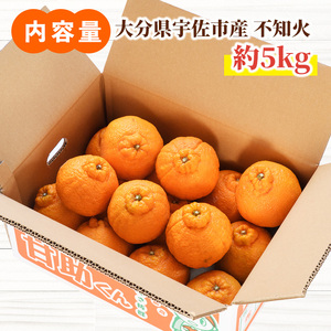 ＜先行予約受付中！2025年3月下旬より順次発送予定＞産地直送！！大分県宇佐市産 不知火(約5kg)みかん ミカン 蜜柑 柑橘 しらぬい フルーツ 果物 くだもの 果実 国産【103600600】【井上農園】