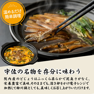 どじょう鍋の素 (計1.5kg・150g×10P) どじょう 鍋 なべ 名物 勝負めし【102200800】【観光館　文福】