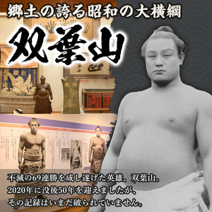 双葉山ポロシャツ・L(1点) シャツ 服 スポーツ トップス ネイビー オリジナル グッズ ファッション 男女兼用【115612200】【SFPコンサルティング】