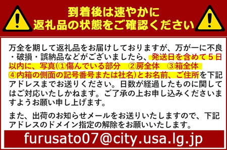<定期便・全3回(連続)>シャインマスカット(総量6kg・2kg×3回)フルーツ 果物 葡萄 ぶどう 安心院 人気 ランキング<先行予約受付中!2026年8月下旬より順次発送予定><北海道 沖縄 離島配送不可>【206300300】【大分県農業協同組合 北部エリア】