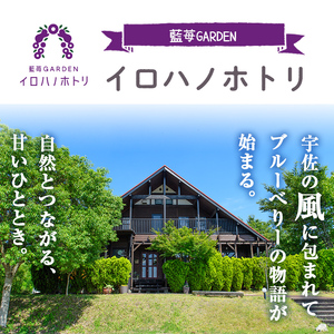 ブルーベリーシャーベット(計660ml・110ml×6個) シャーベット アイスクリーム ソルベ フルーツ ブルーベリー 果物 スイーツ デザート おやつ 勝負めし 【116500300】【藍苺GARDEN イロハノホトリ】