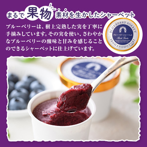 ブルーベリーシャーベット(計660ml・110ml×6個) シャーベット アイスクリーム ソルベ フルーツ ブルーベリー 果物 スイーツ デザート おやつ 勝負めし 【116500300】【藍苺GARDEN イロハノホトリ】