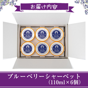 ブルーベリーシャーベット(計660ml・110ml×6個) シャーベット アイスクリーム ソルベ フルーツ ブルーベリー 果物 スイーツ デザート おやつ 勝負めし 【116500300】【藍苺GARDEN イロハノホトリ】