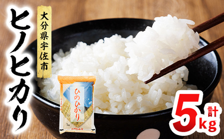 ヒノヒカリ 白米 (計5kg) お米 ごはん ご飯 ひのひかり 数量限定 【117800101】【ジョイライス大分】
