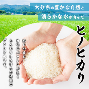 ヒノヒカリ 白米 (計10kg) お米 ごはん ご飯 ひのひかり 数量限定 【117800201】【ジョイライス大分】