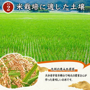 ヒノヒカリ 白米 (計10kg) お米 ごはん ご飯 ひのひかり 数量限定 【117800201】【ジョイライス大分】