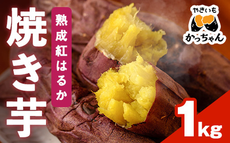 ＜先行予約受付中！2025年12月上旬から順次発送予定＞焼き芋 熟成紅はるか(1kg) 焼き芋 やきいも さつまいも サツマイモ 紅はるか 芋 おやつ 個包装【117300100】【やきいもかっちゃん】