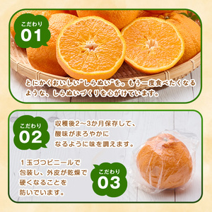 ＜先行予約受付中！2026年3月上旬～4月上旬の間に発送予定＞不知火(2L～3L・2.8kg～)みかん フルーツ しらぬい 柑橘 ミカン【113300300】【谷崎美眞子果樹園】