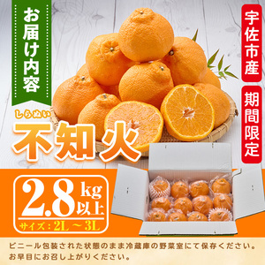 ＜先行予約受付中！2026年3月上旬～4月上旬の間に発送予定＞不知火(2L～3L・2.8kg～)みかん フルーツ しらぬい 柑橘 ミカン【113300300】【谷崎美眞子果樹園】