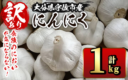 ＜訳あり・不揃い＞食後のにおいが気にならないニンニク(計1kg) にんにく ニンニク 野菜【116600200】【シイズンドアグリ】