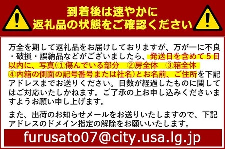 貯蔵シャインマスカット(1kg)シャインマスカット ぶどう 葡萄 フルーツ 果物 くだもの 果実＜先行予約受付中 2025年12月上旬から順次発送予定＞＜北海道 沖縄 離島配送不可＞【106301000】【大分県農業協同組合　北部エリア】