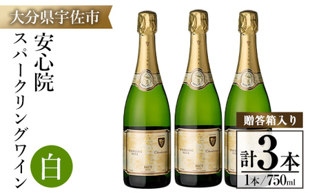 安心院スパークリングワイン白(750ml×3本) 酒 お酒 ワイン 白ワイン アルコール 飲料 ぶどう 葡萄 ギフト 贈り物【104304800】【山添産業】