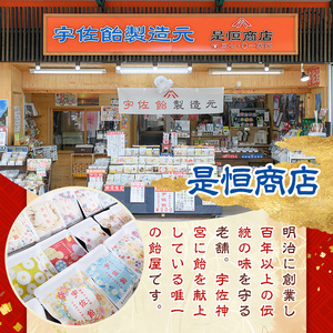 宇佐飴入かぼすピール (計225g・15g×15袋) カボス お菓子 おかし おやつ【112800800】【岡部商事】