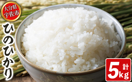 宇佐市産ヒノヒカリ(計5kg) ＜北海道 沖縄 離島配送不可＞米 お米 ヒノヒカリ ひのひかり 白米 ご飯 大分県産 5kg【119000400】【カネガエ】