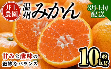＜先行予約受付中！3月下旬より順次発送予定＞大分県宇佐市産 蔵出し みかん(約10kg)ミカン 蜜柑 柑橘 フルーツ 果物 くだもの 果実 国産 熟成【103690700】【井上農園】