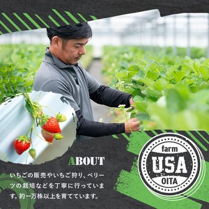 ＜2026年1月上旬～3月下旬の間に発送予定＞いちご(計約560g・280g×2P)苺 イチゴ フルーツ 果物 くだもの 果実 ベリーツ【117900400】【Farm U.S.A.】
