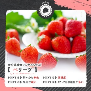 ＜2026年1月上旬～3月下旬の間に発送予定＞いちご(計約560g・280g×2P)苺 イチゴ フルーツ 果物 くだもの 果実 ベリーツ【117900400】【Farm U.S.A.】