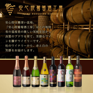 安心院スパークリングワイン 白(計1.5L・750ml×2本)酒 お酒 ワイン 白ワイン スパークリングワイン ぶどう 葡萄【107302602】【時枝酒店】