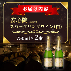 安心院スパークリングワイン 白(計1.5L・750ml×2本)酒 お酒 ワイン 白ワイン スパークリングワイン ぶどう 葡萄【107302602】【時枝酒店】