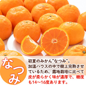 ＜先行予約受付中！2026年4月下旬から５月下旬順次発送予定＞なつみ(約5kg)ハウス 樹成 完熟 みかん 蜜柑 柑橘 かんきつ フルーツ 果物 くだもの【111600200】【永木農園】