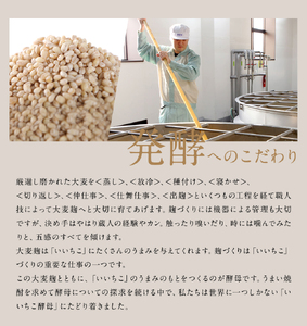 いいちこ/西の星 パック 20度(合計7.2L・1.8L×4本)酒 お酒 むぎ焼酎 1800ml 麦焼酎 いいちこ 西の星 常温 三和酒類 飲み比べ 紙パック【104303700】【山添産業】