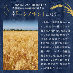 西の星 25度 パック(計10.8L・900ml×12本)酒 お酒 むぎ焼酎 900ml 麦焼酎 常温 西の星 三和酒類 紙パック【107304300】【時枝酒店】