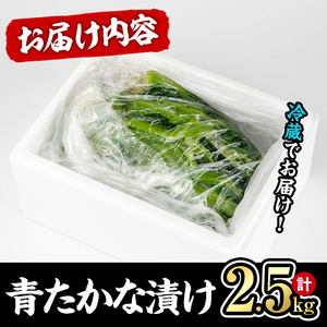 自家農園栽培 青たかな漬け(2.5kg)たかな 高菜 ちりめん高菜 漬物 漬け物 ご飯のお供 おにぎり 自家農園 大分県産【103200100】【松本漬物】