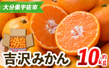 ＜先行予約受付中！2025年11月中旬から順次発送予定＞吉沢みかん(約10kg)みかん ミカン 蜜柑 柑橘 フルーツ 果物 くだもの 果実【108600101】【フルーツランド桐畑】