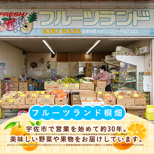 ＜先行予約受付中！2025年11月中旬から順次発送予定＞吉沢みかん(約10kg)みかん ミカン 蜜柑 柑橘 フルーツ 果物 くだもの 果実【108600101】【フルーツランド桐畑】