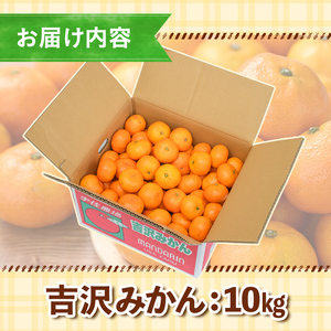 ＜先行予約受付中！2025年11月中旬から順次発送予定＞吉沢みかん(約10kg)みかん ミカン 蜜柑 柑橘 フルーツ 果物 くだもの 果実【108600101】【フルーツランド桐畑】