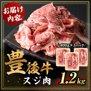豊後牛 スジ肉(計1.2kg・400g×3個)牛肉 お肉 牛スジ 煮込み パック 冷凍 和牛 国産 大分県産 【106400300】【まるひで】