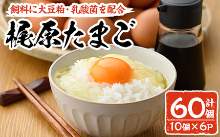 梶原たまご(計60個・10個×6P) 卵 玉子 鶏卵 卵かけご飯 玉子焼き【108800200】【カジワラファーム】