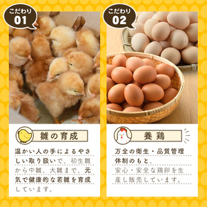 梶原たまご(計60個・10個×6P) 卵 玉子 鶏卵 卵かけご飯 玉子焼き【108800200】【カジワラファーム】