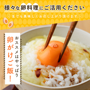 大分烏骨鶏のたまご(計30個・10個×3P)卵 玉子 烏骨鶏 うこっけい 卵かけご飯 玉子焼き【108800300】【カジワラファーム】