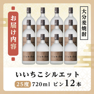 いいちこシルエット 25度(計8.64L・720ml×12本)酒 お酒 むぎ焼酎 720ml 麦焼酎 いいちこ アルコール 飲料 常温【106105100】【酒のひろた】