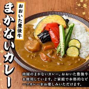 肉屋のまかない豊後牛カレー(計2.3kg・230g×10P) カレー レトルト レトルトカレー 簡単調理 湯煎調理 ビーフカレー おおいた豊後牛 ご当地カレー【110200200】【吉野】