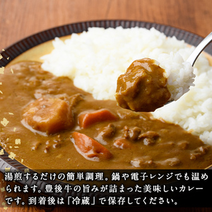 肉屋のまかない豊後牛カレー(計2.3kg・230g×10P) カレー レトルト レトルトカレー 簡単調理 湯煎調理 ビーフカレー おおいた豊後牛 ご当地カレー【110200200】【吉野】