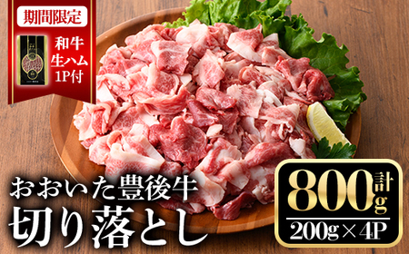 おおいた豊美牛切り落とし(計800g・200g×4P)牛肉 お肉 交雑種 交雑牛 小分け【112100500】【ミートクレスト】