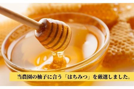 ゆず蜜セット(計900ml・300ml×3本)ゆず 柚子 自家製 果汁100％ はちみつ 蜂蜜 大分県産 セット【100600100】【櫛野農園】