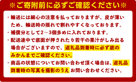 ＜11月1日先行受付開始、12月以降発送＞田口早生(10kg)みかん 蜜柑 フルーツ 果物 くだもの 柑橘 期間限定【112300202】【宮田園芸】