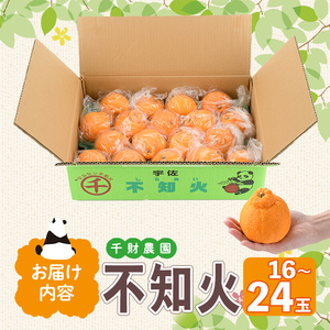 ＜先行予約受付中！2026年4月中旬より順次発送予定＞千財農園不知火(L～4L・16玉～24玉)みかん ミカン 蜜柑 しらぬい 柑橘 フルーツ 果物 くだもの 果実【109000301】【千財農園】