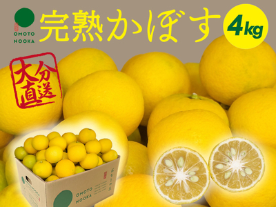 A-499 おもとの丘の黄かぼす(完熟カボス) 約5kg | 大分県宇佐市