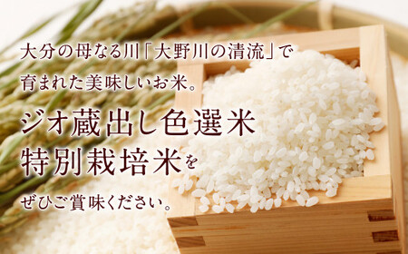 036-977 大分県 豊後大野市産 大分県選択銘柄登録品種「恋の予感」ジオ蔵出し色選米 特別栽培米 10kg (5kg×2袋) 米 精米