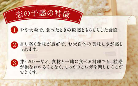 036-977 大分県 豊後大野市産 大分県選択銘柄登録品種「恋の予感」ジオ