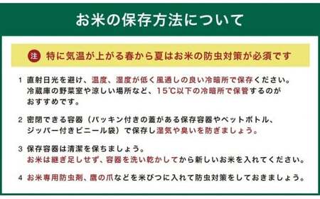 036-977 大分県 豊後大野市産 大分県選択銘柄登録品種「恋の予感」ジオ蔵出し色選米 特別栽培米 10kg (5kg×2袋) 米 精米