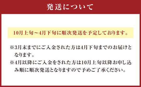 106-999 【10月上旬～4月下旬発送】さといもベイクドケーキ 8個入（プレーン4個、チョコレート4個）